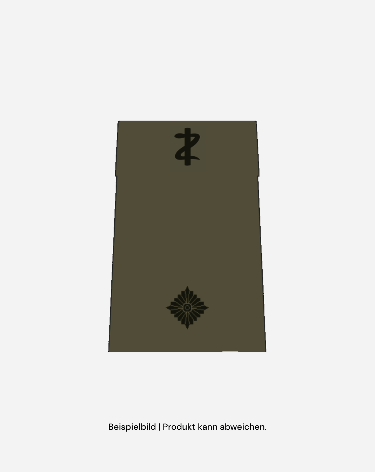 Dienstgrad SanOA - Heer